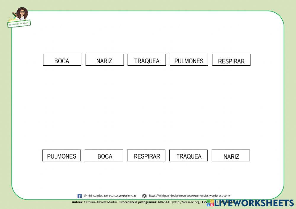 Lectura de palabras: aparato respiratorio