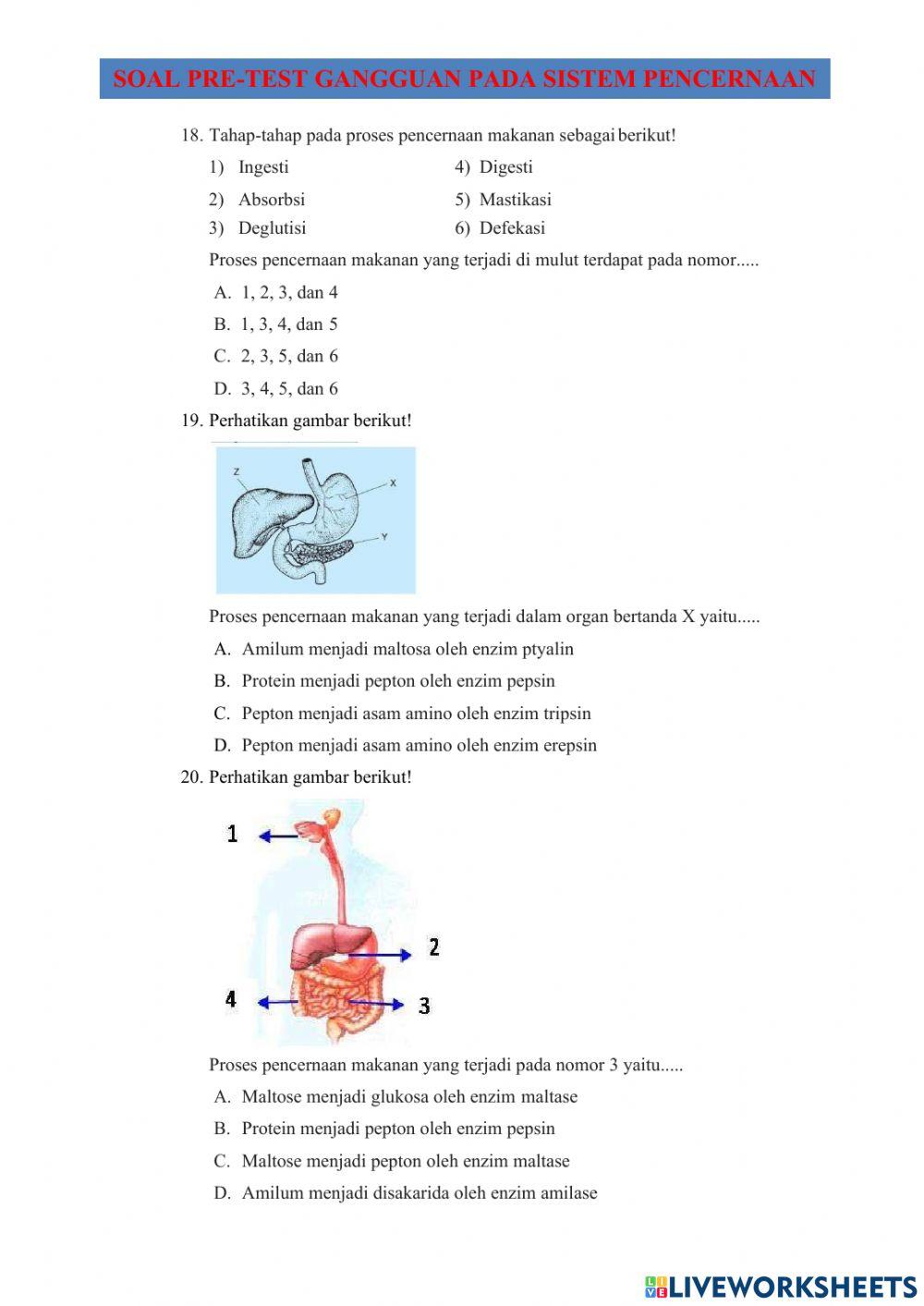 Soal pretest gangguan pencernaan