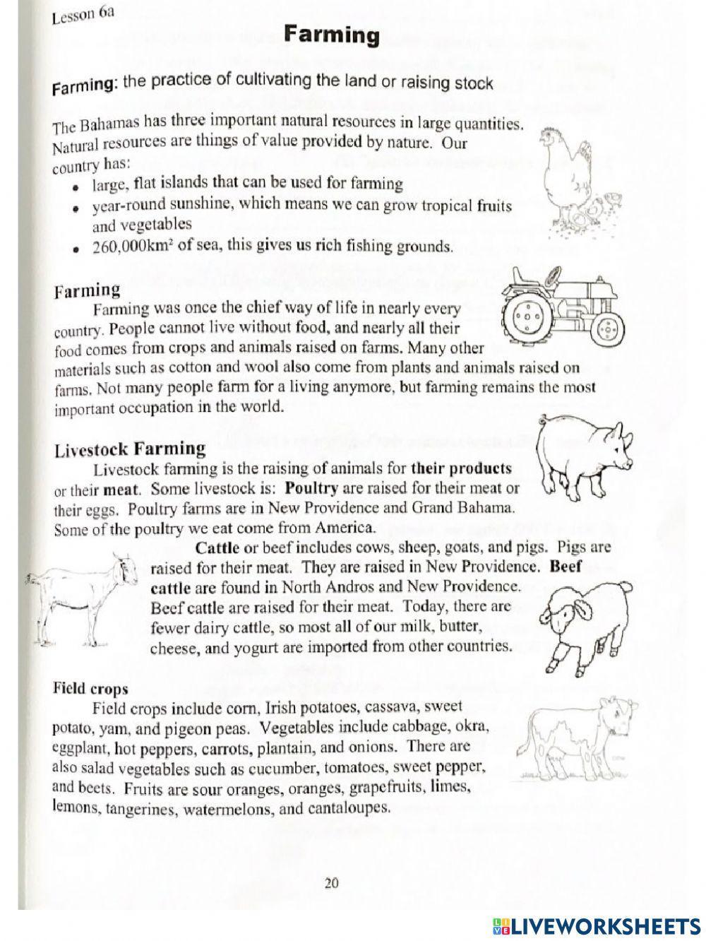 Farming in The Bahamas