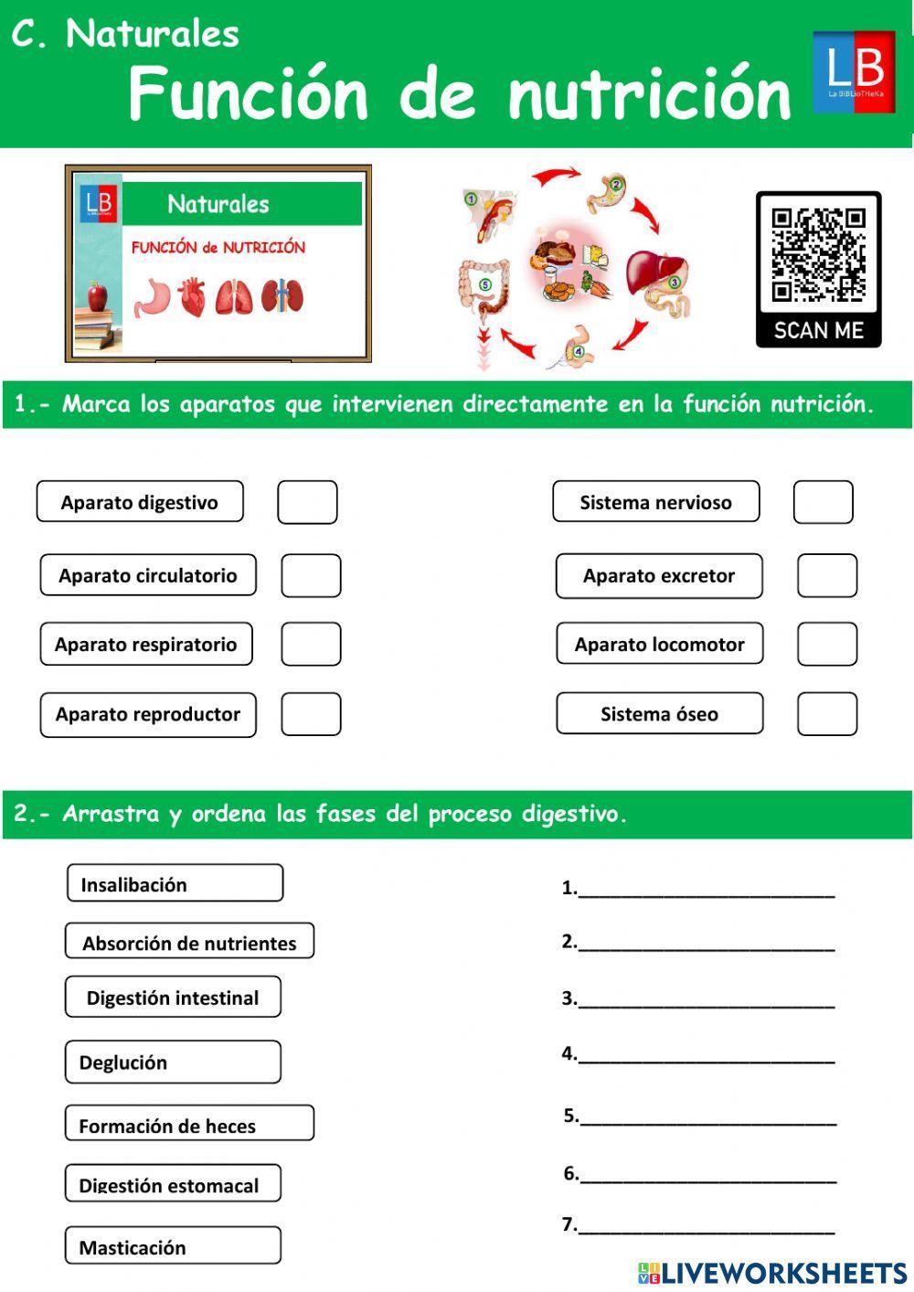 La función de nutrición La función de nutrición