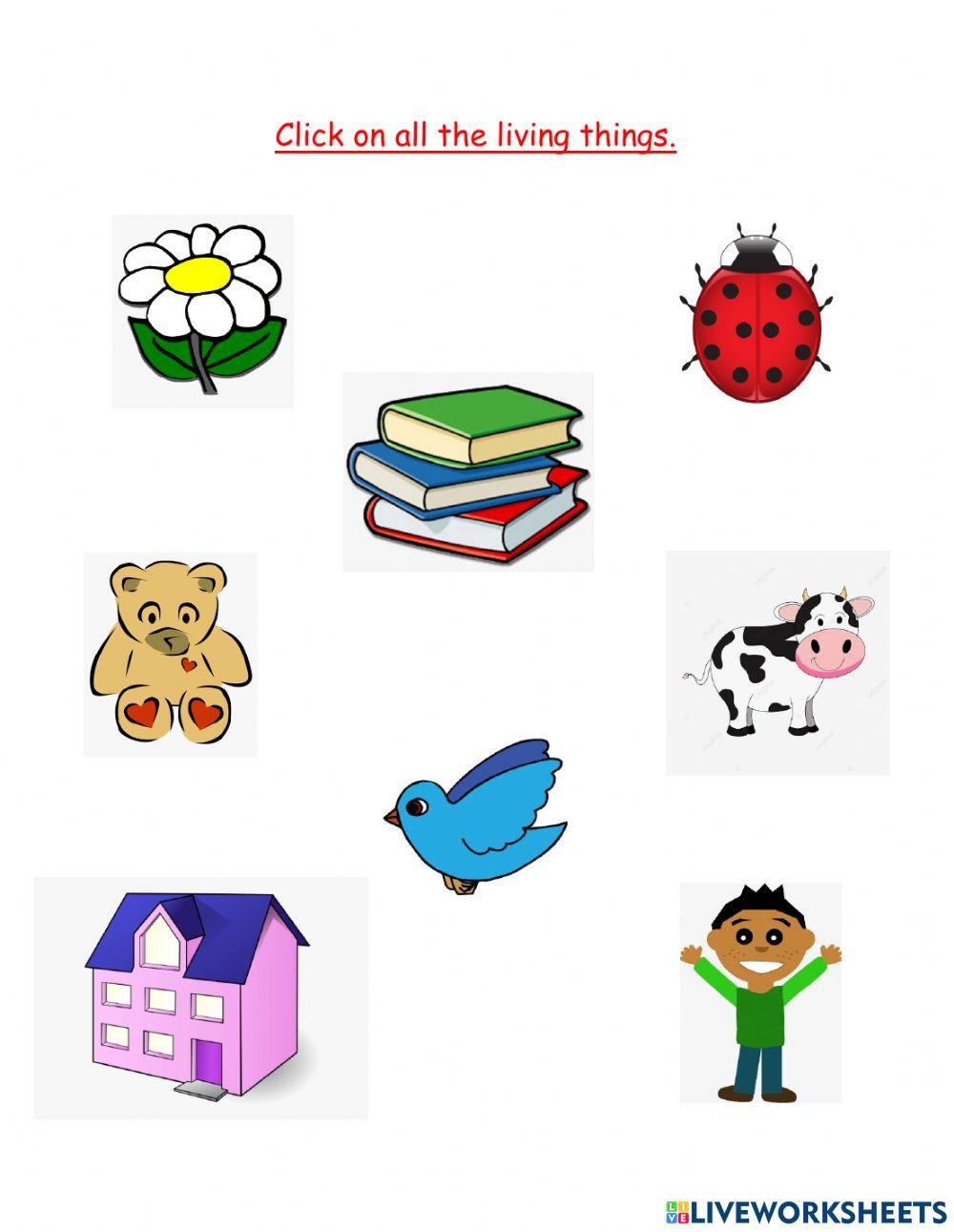 Living Things interactive activity for Kindergarten Live Worksheets