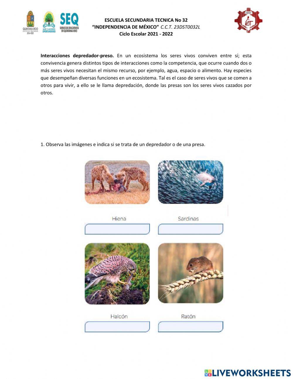 Depredadores y presas