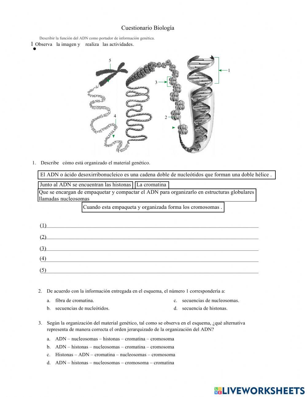 Cuestionario de Biología 2