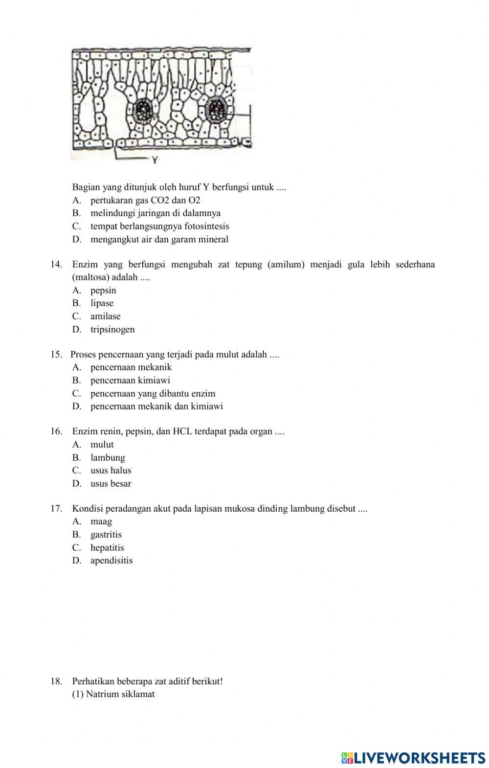 Latihan Soal PAS Gasal IPA Kelas 8