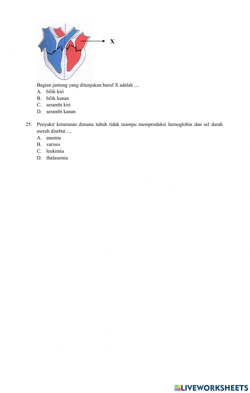 Latihan Soal PAS Gasal IPA Kelas 8