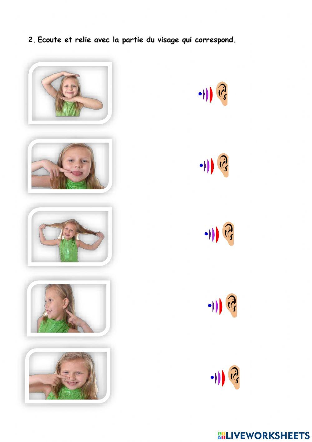 Fiche les parties du visage