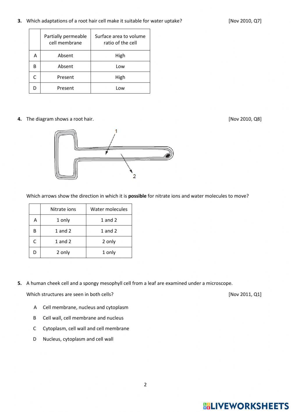 Biology - 1 Cell Structure and Organisation