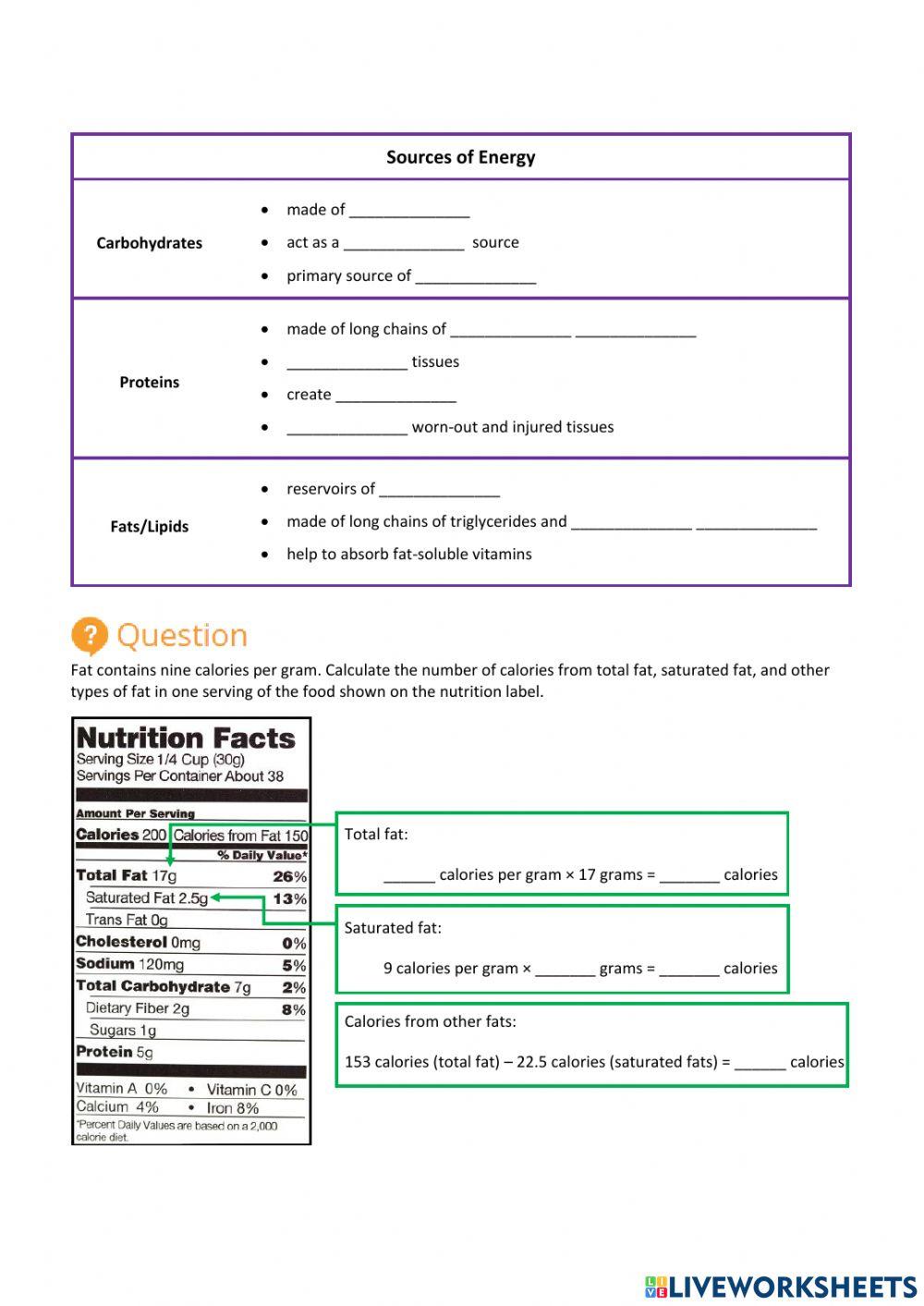 S7U3.Nutrition&Digestion