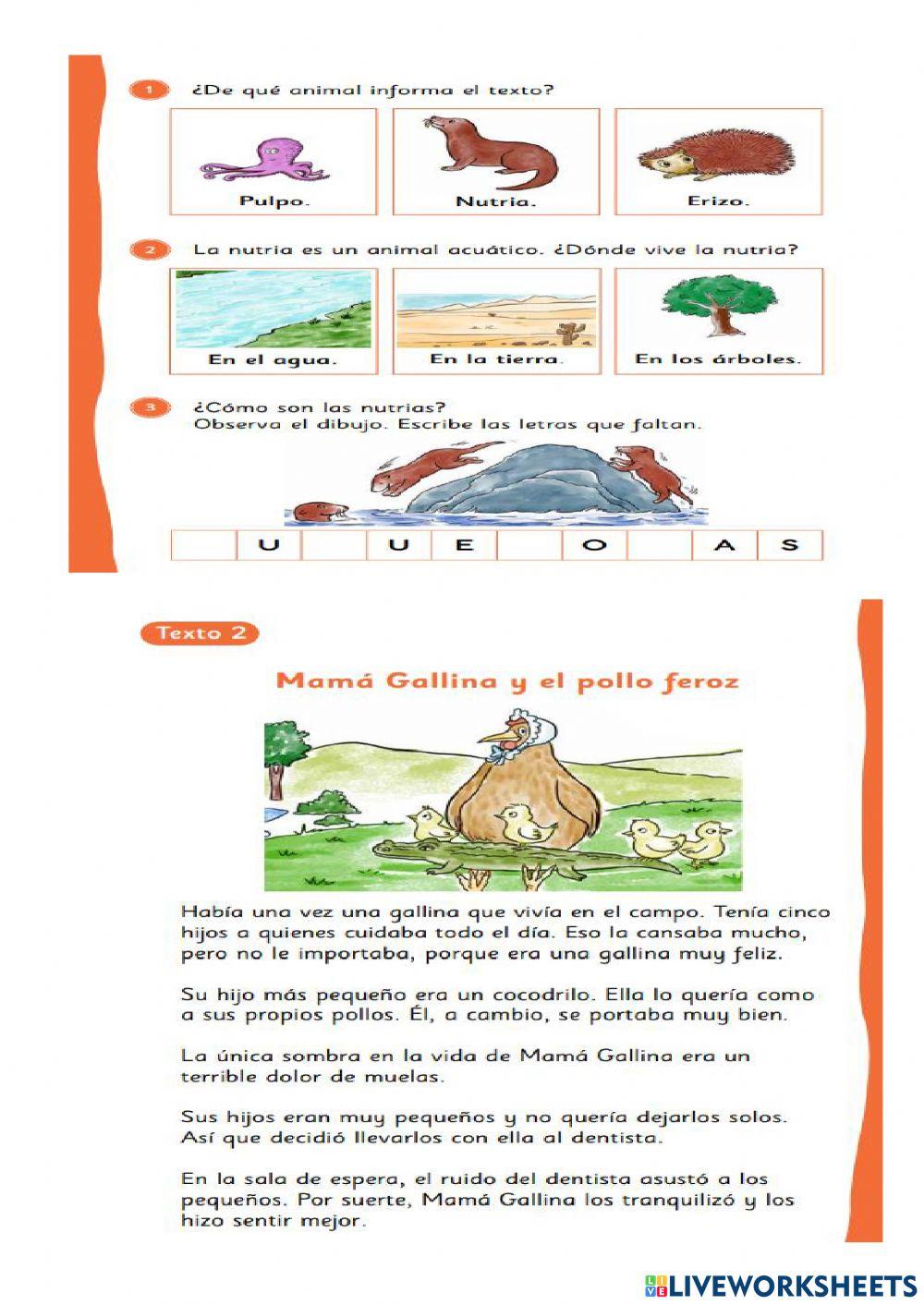 Evaluación lenguaje