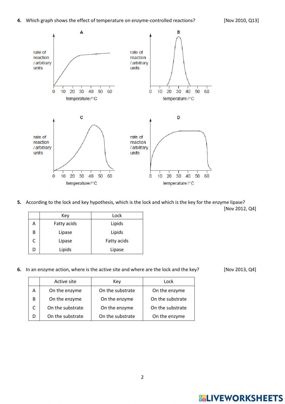 Biology - 3 Enzymes