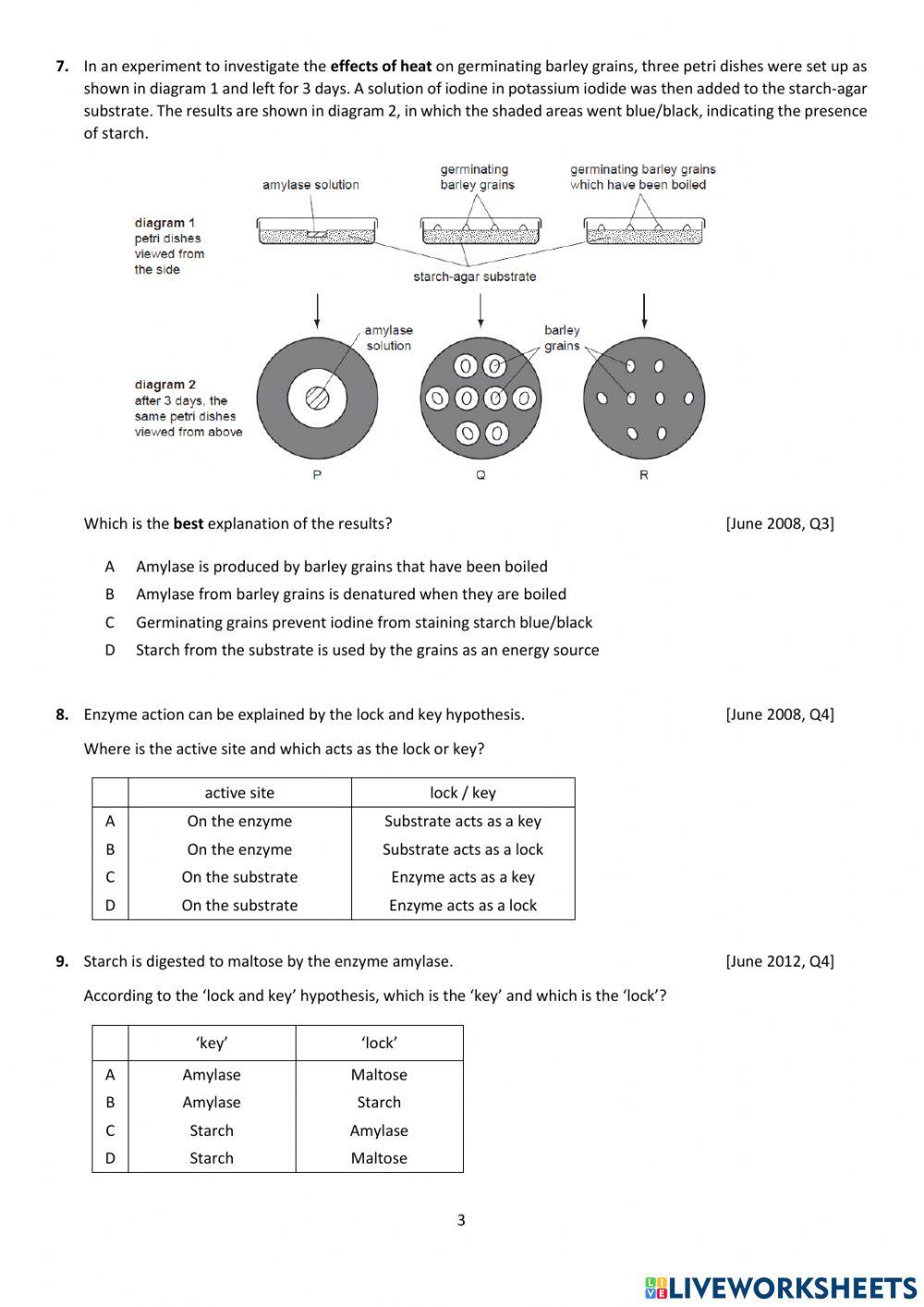 Biology - 3 Enzymes