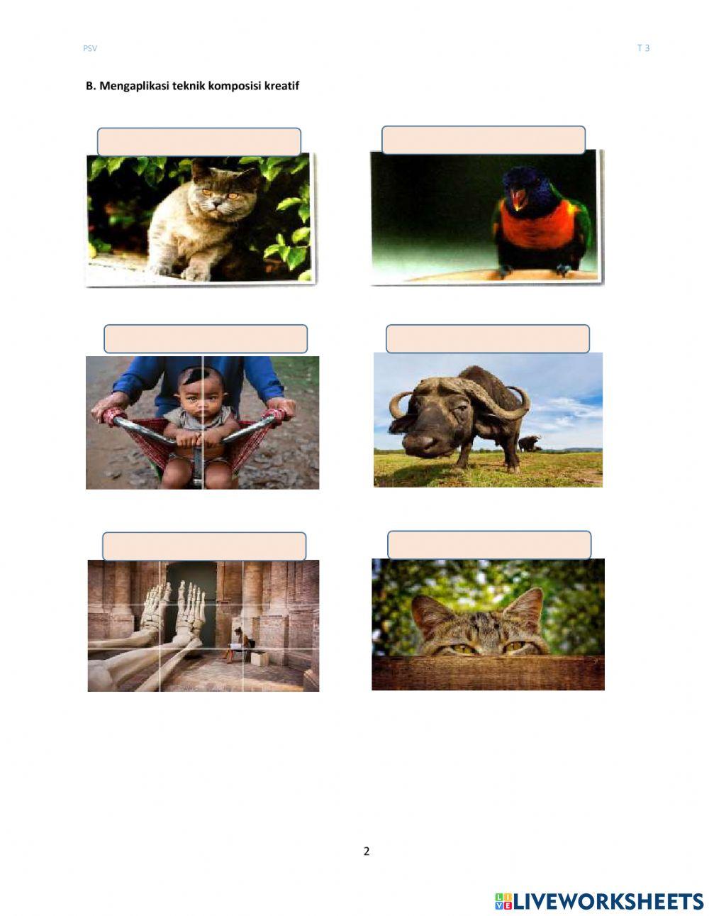 11.1.3 Seni Foto(Teknik komposisi Kreatif)