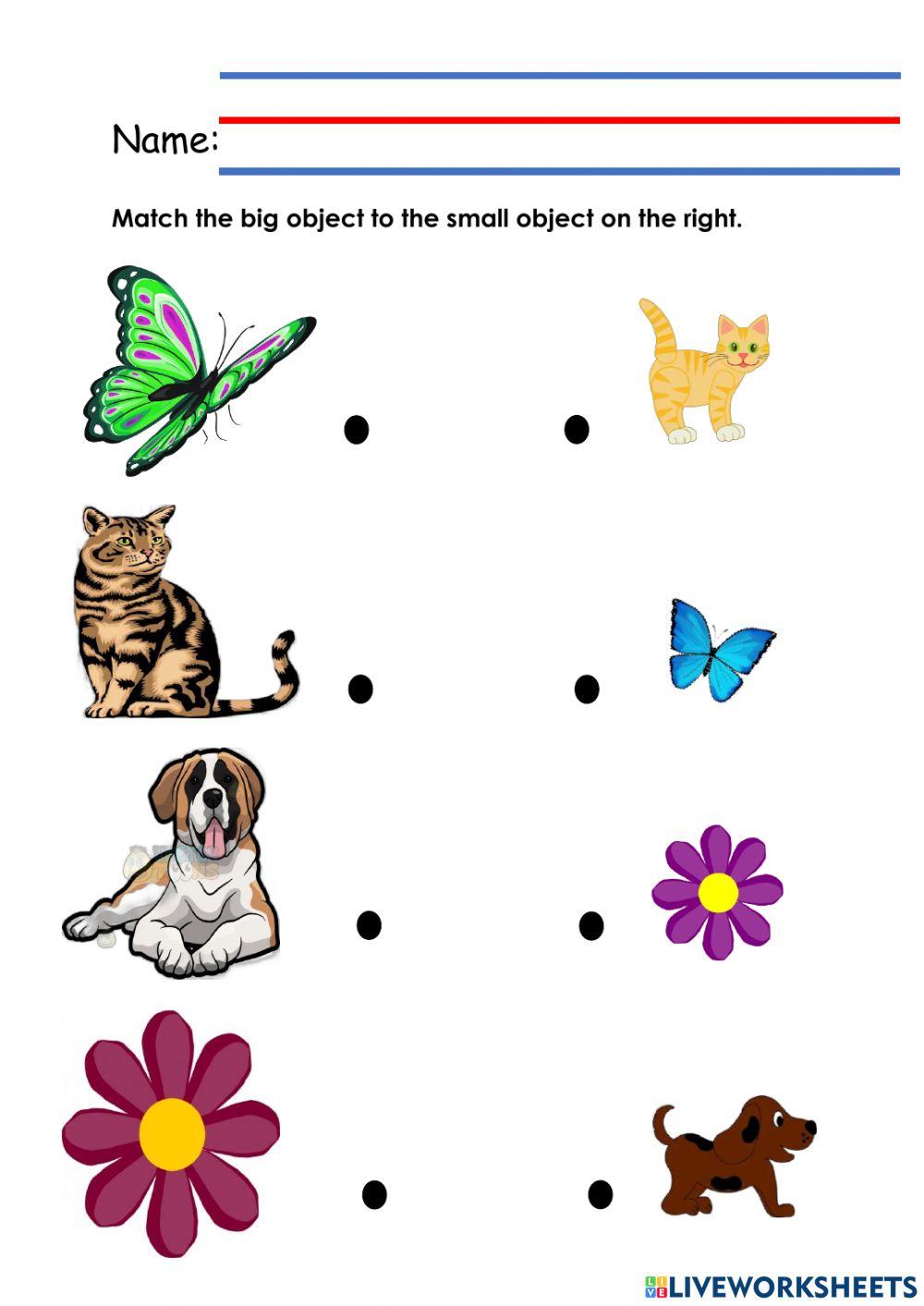 Big and small | Free Interactive Worksheets | 1550782