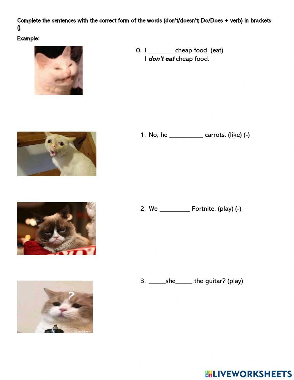 Present Simple (-) and (?)