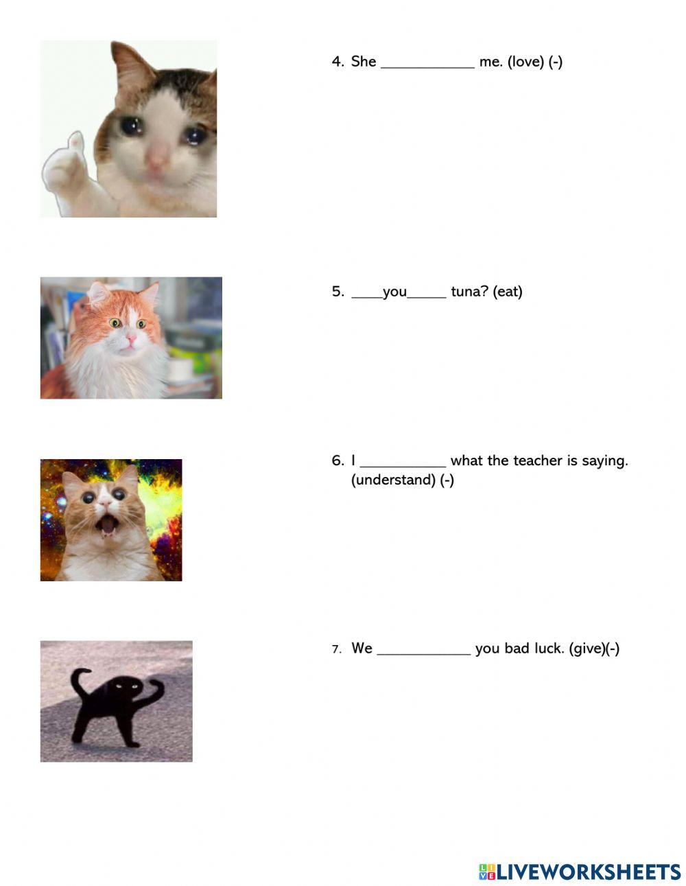 Present Simple (-) and (?)