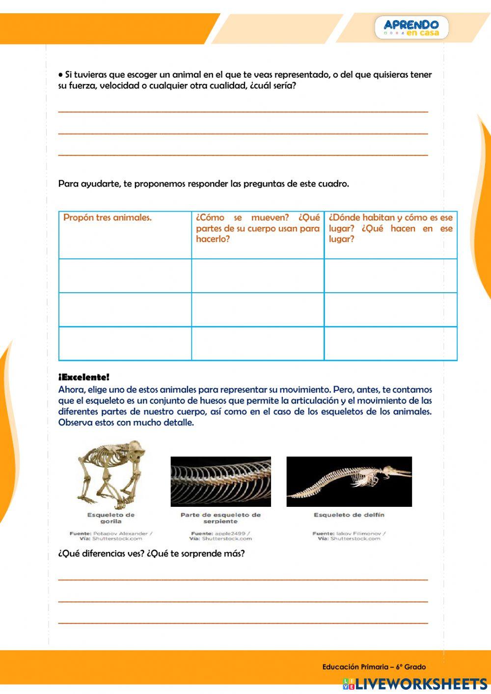 Reconozco el movimiento de los animales a partir de un mito