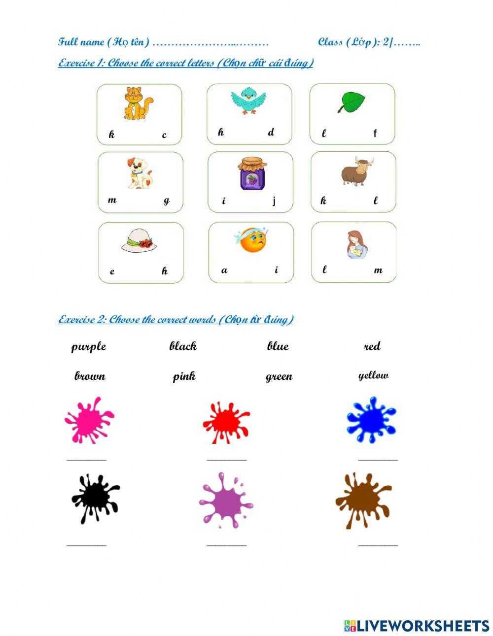 Bài kiểm tra starter