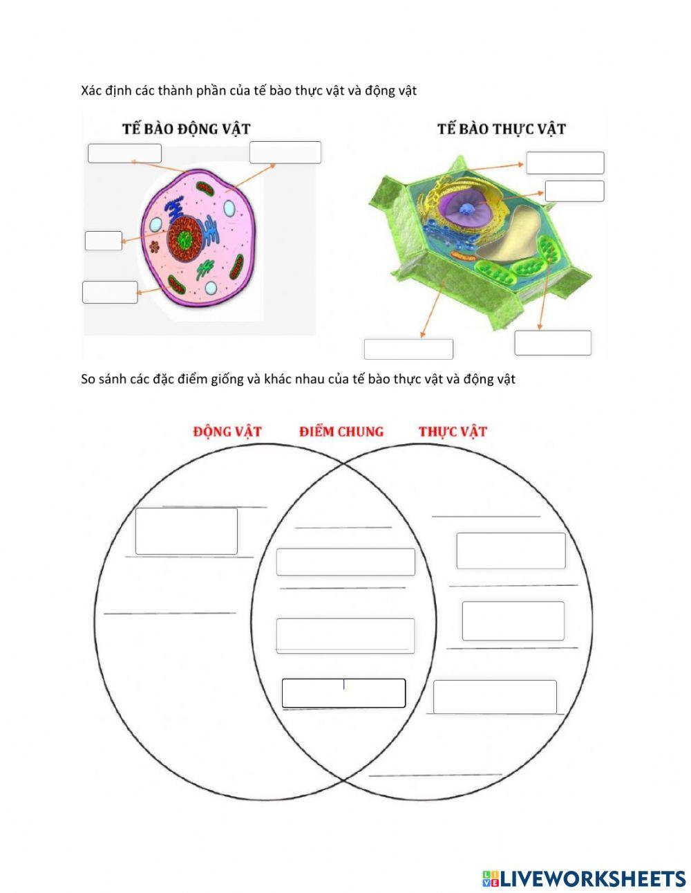 Kiểm tra bài cũ bài 17