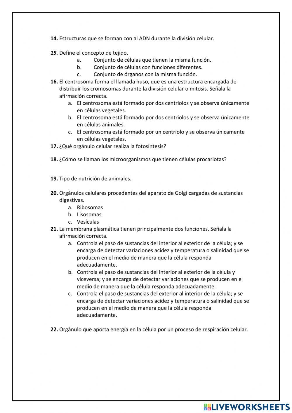Biomoléculas célula