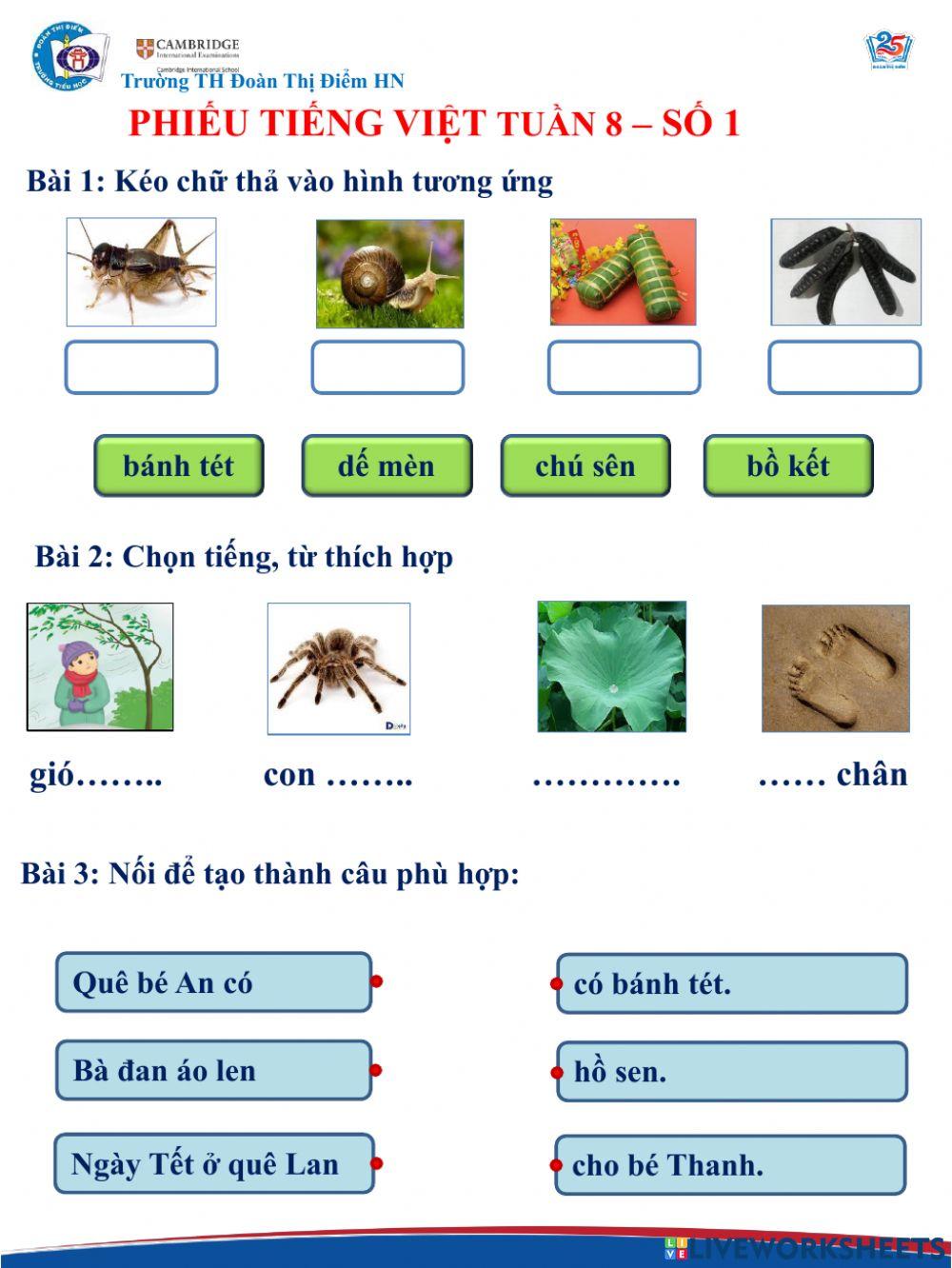 Tiếng việt nâng cao tuần 8 - số 1