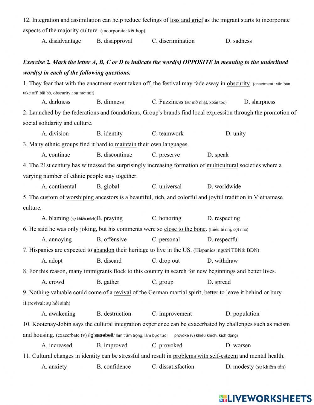 12. unit 5. cultural identity.  part 1