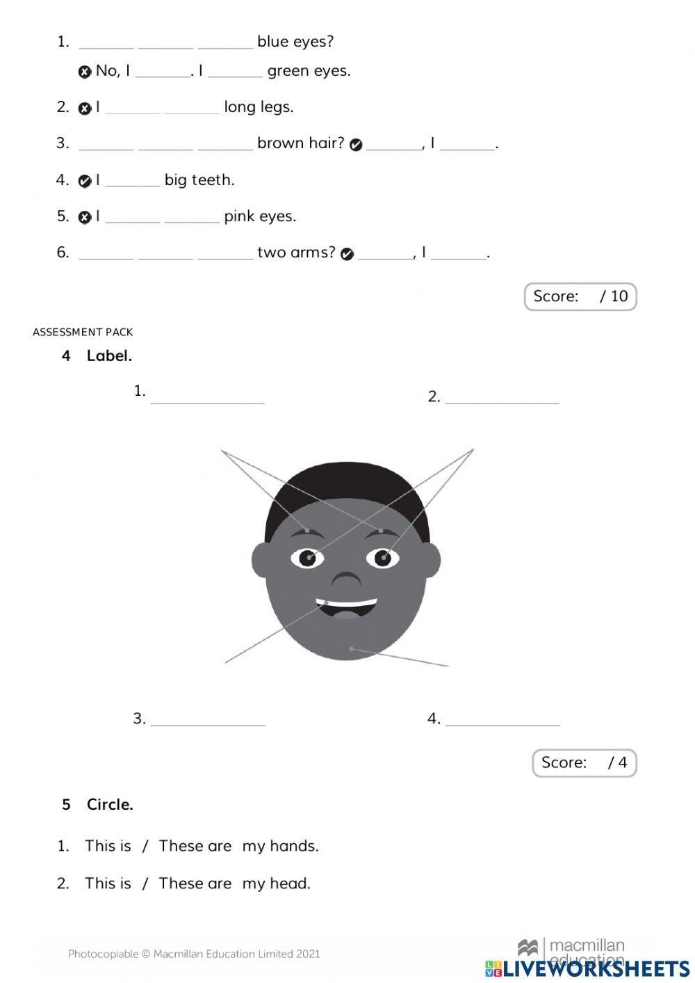Happy campers 2 free interactive worksheets 4145389