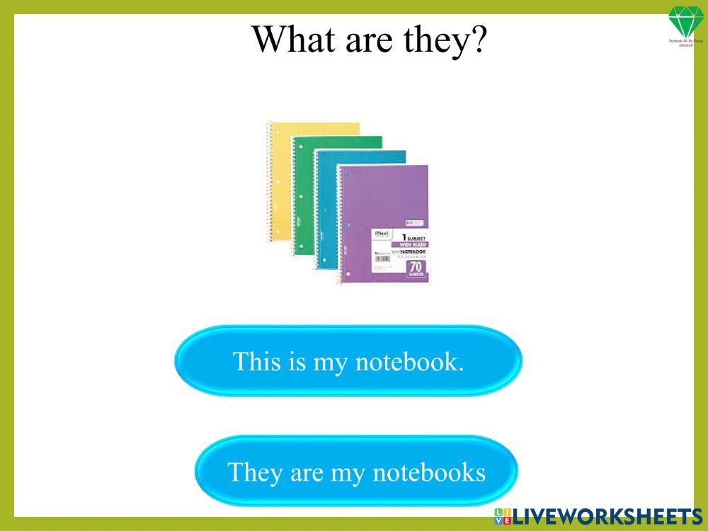 What have you got What are they What is this