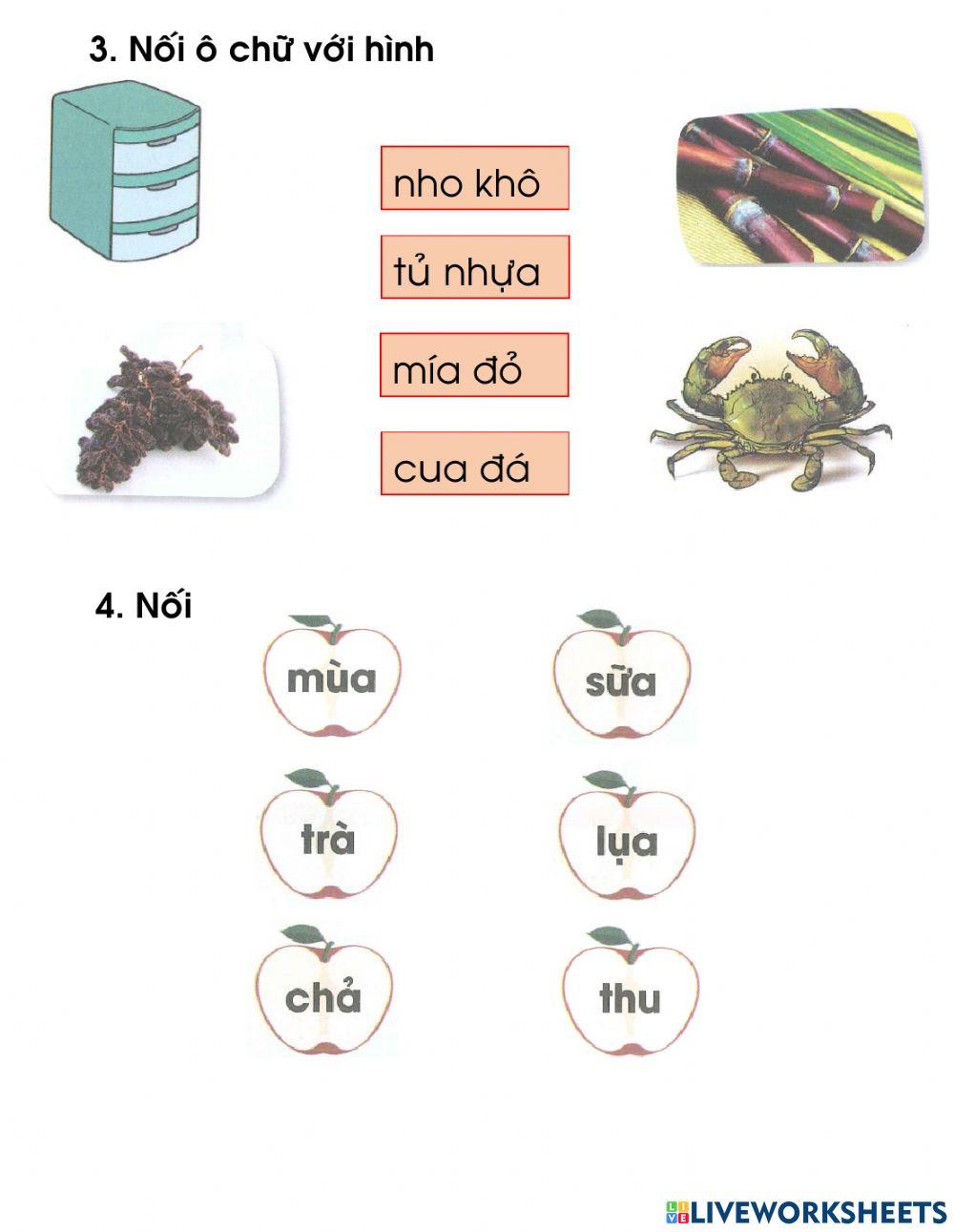 Ôn tập tuần 5