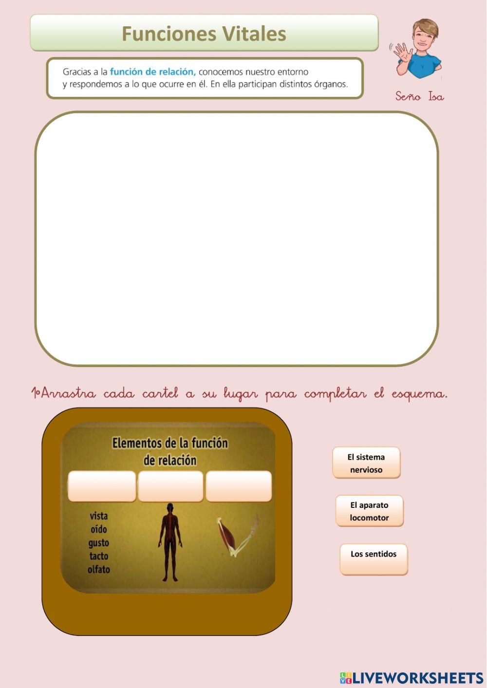 Las funciones vitales