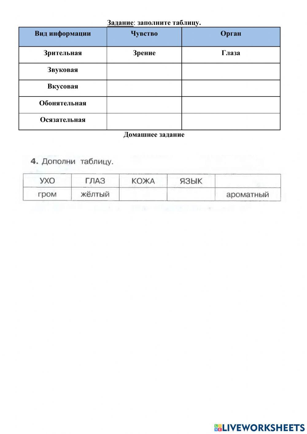 Человек и информация