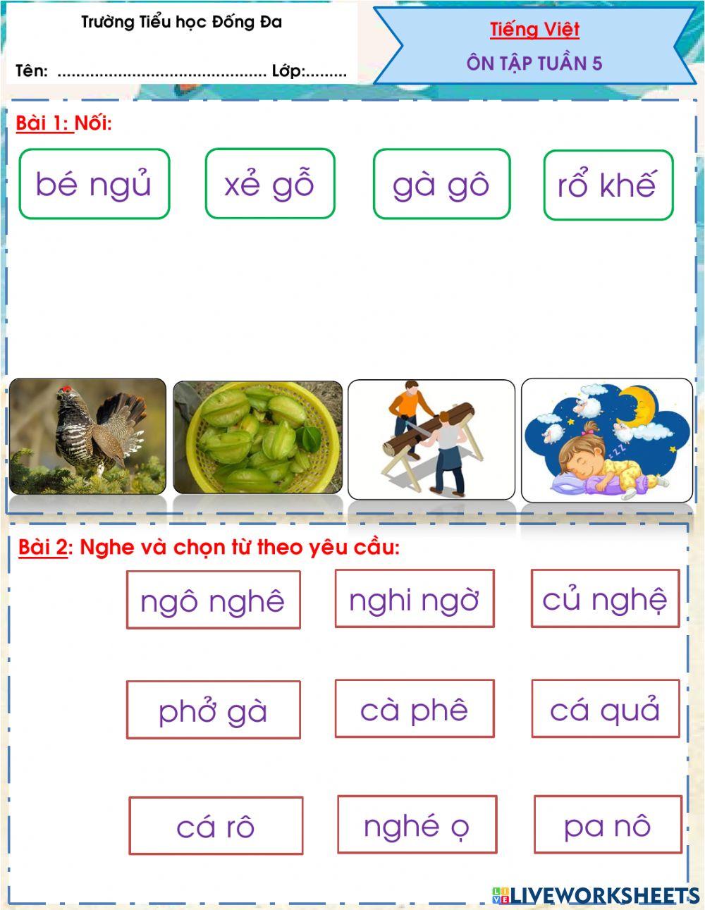 TV Ôn tập tuần 5