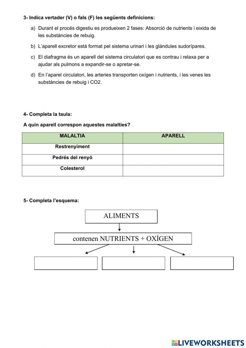 La funció de nutrició