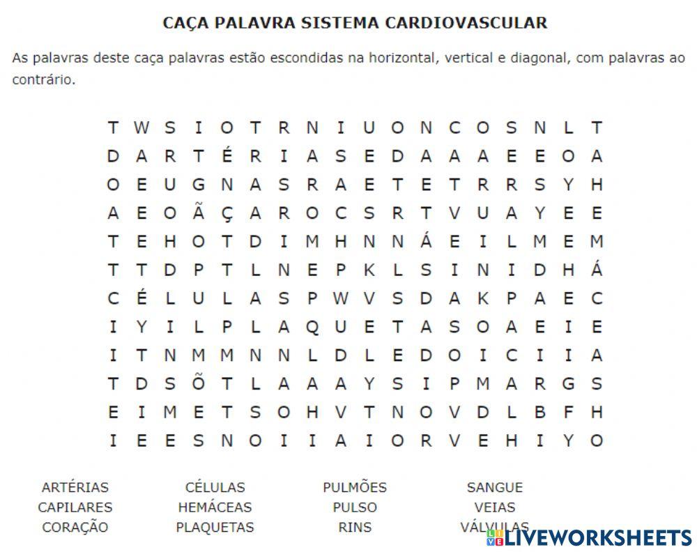 Sistema cardiovascular
