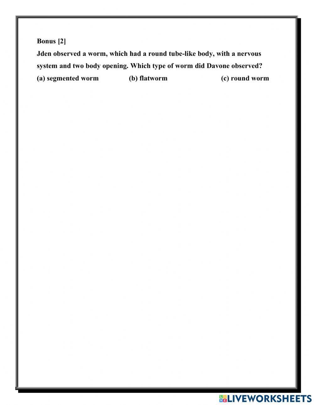 Invertebrates (sponges, echinoderms, worms)