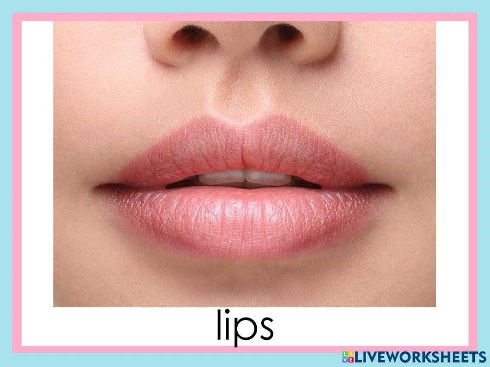 Listen and repeat: letter L-l