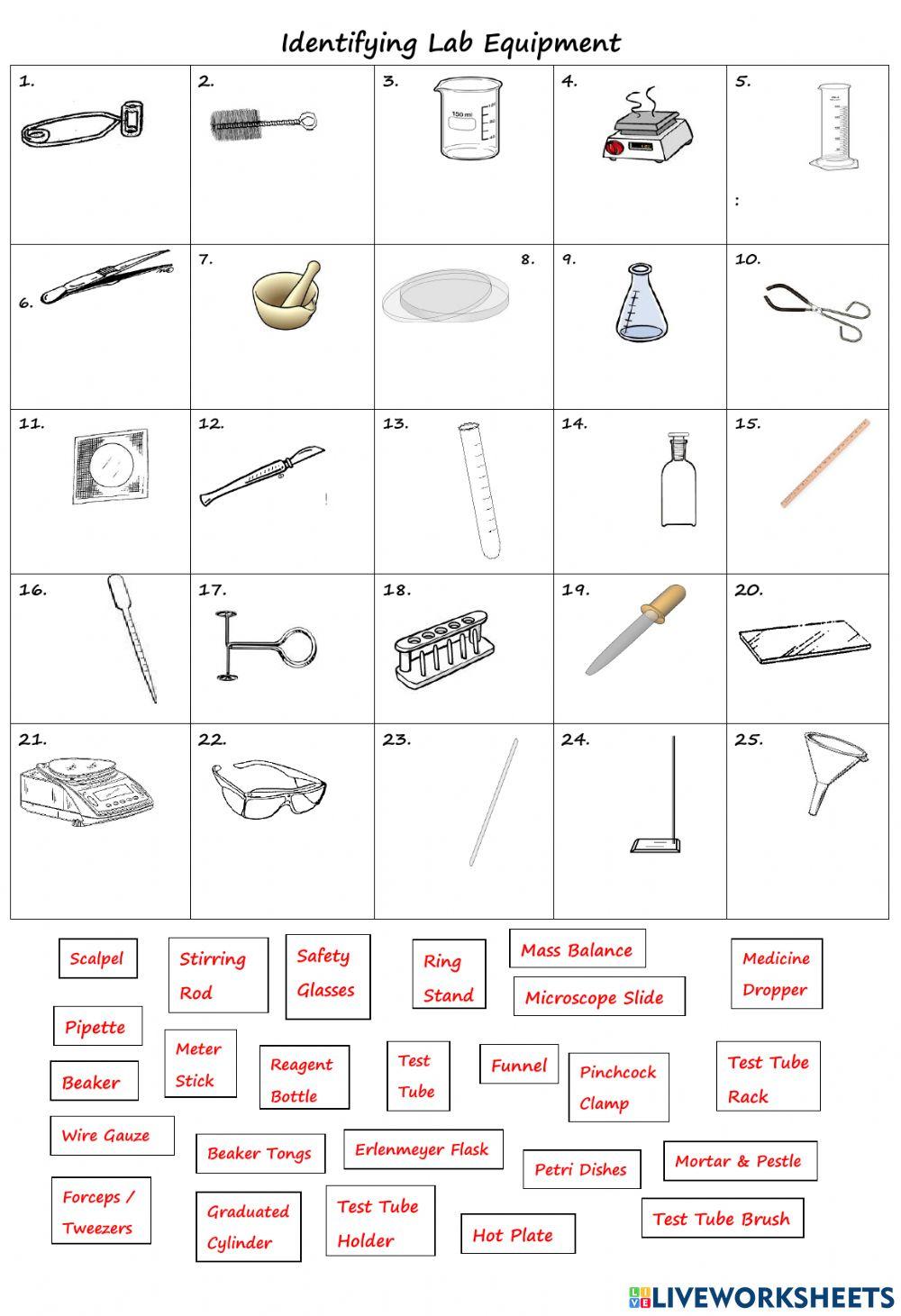 Identifying Lab Equipment worksheet | Live Worksheets Identifying Lab Equipment worksheet | Live Worksheets