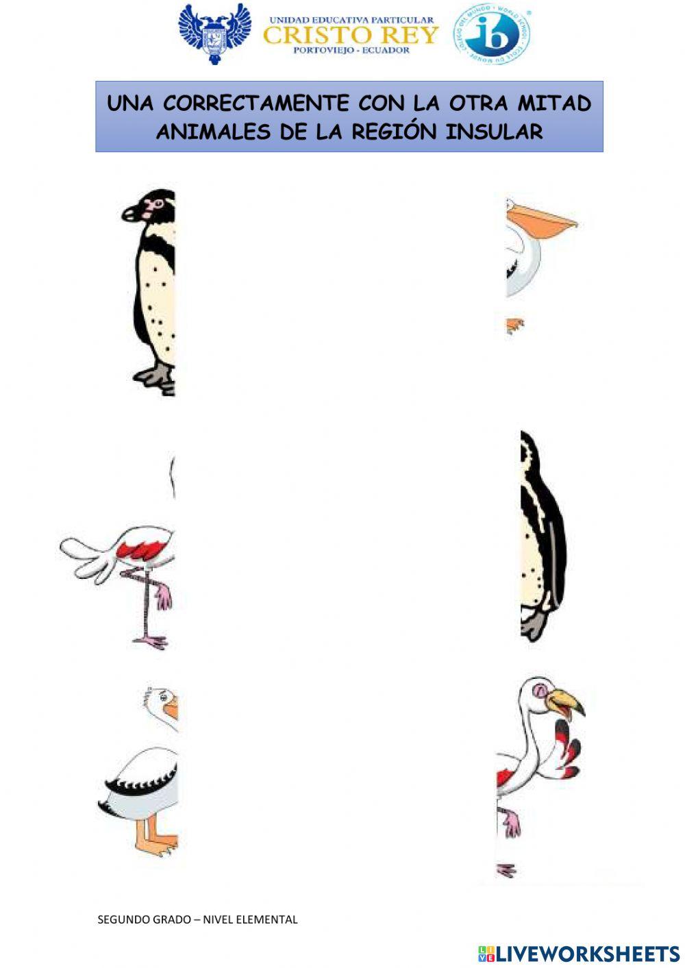 Animales de galápagos