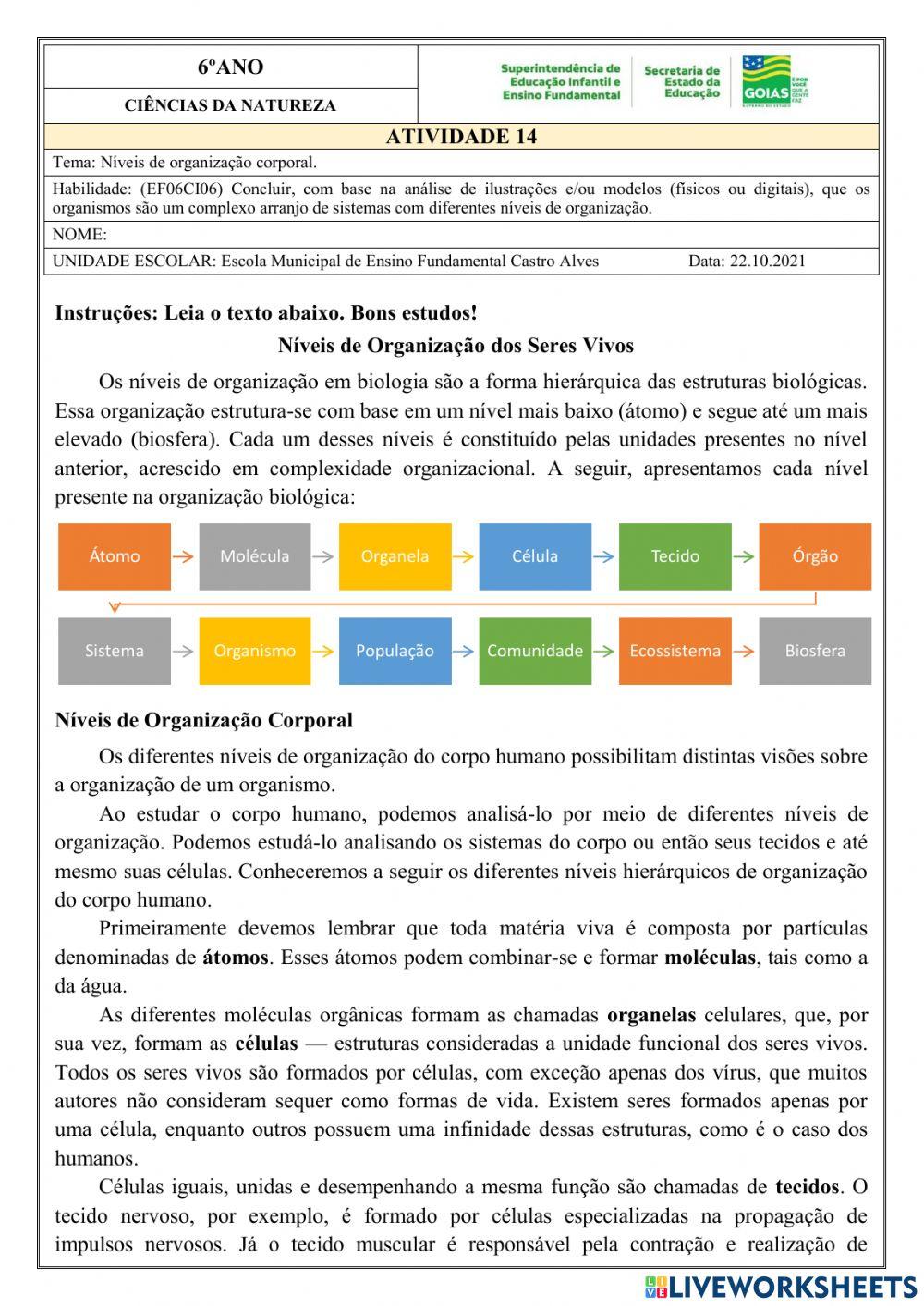 6º anoAtividade de ciências dia 22.10 