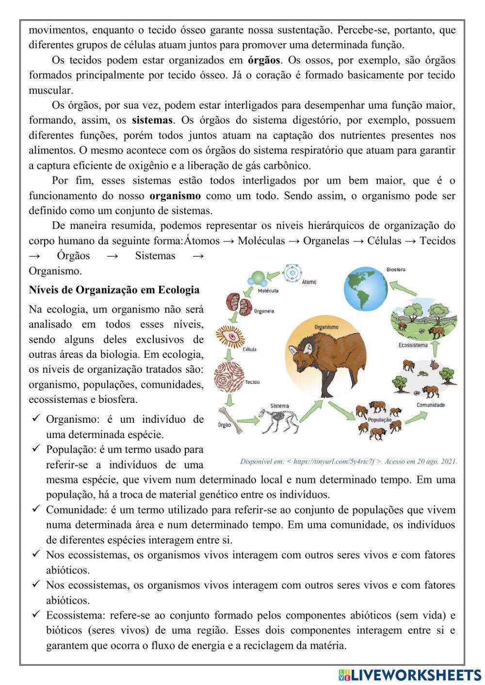 6º anoAtividade de ciências dia 22.10 