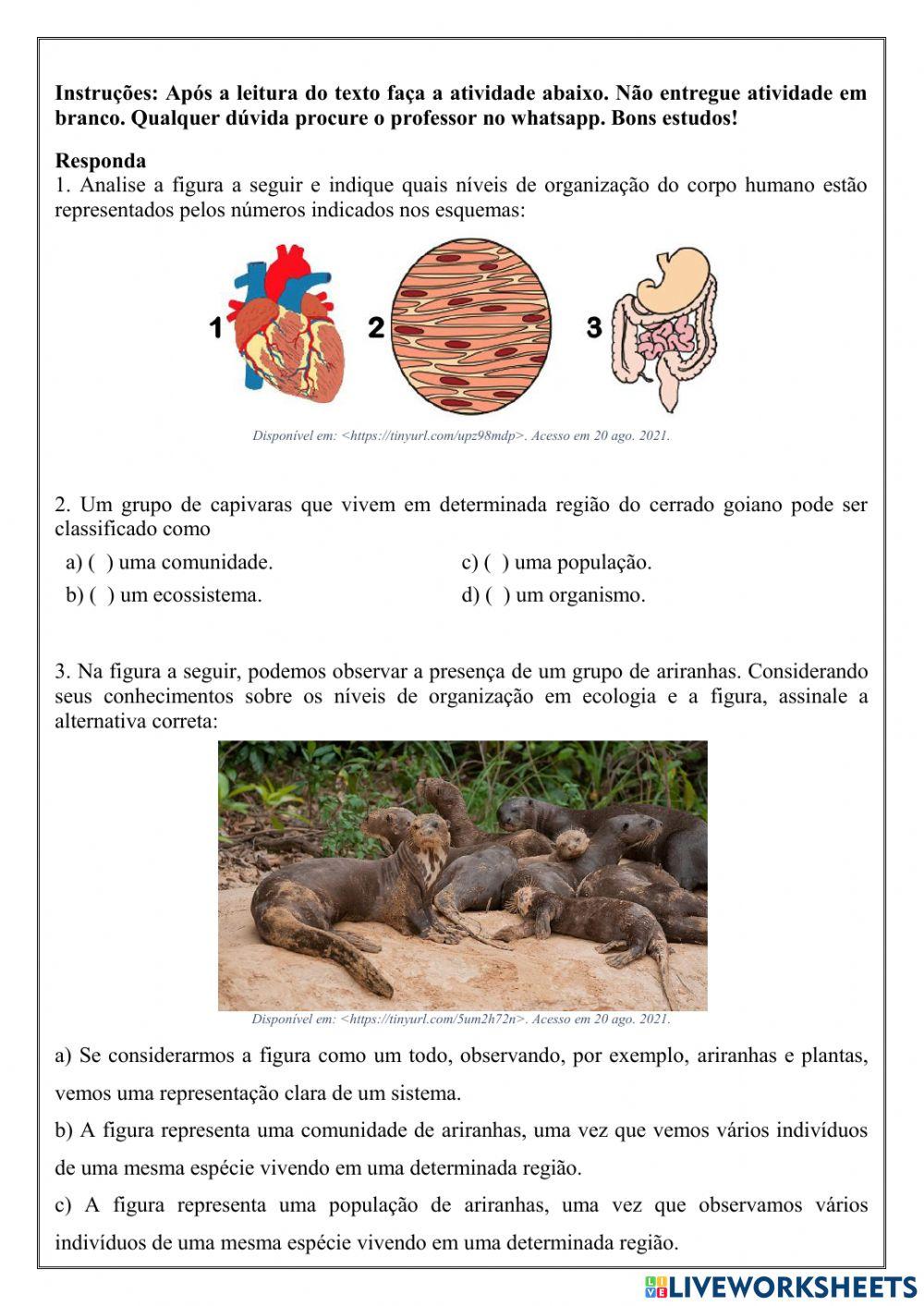 6º anoAtividade de ciências dia 22.10 