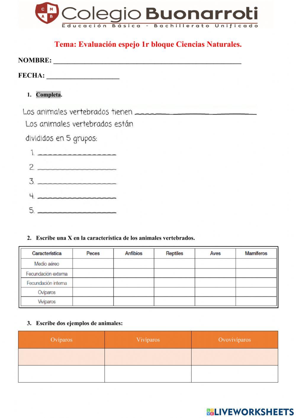 Evaluación espejo CC.NN.