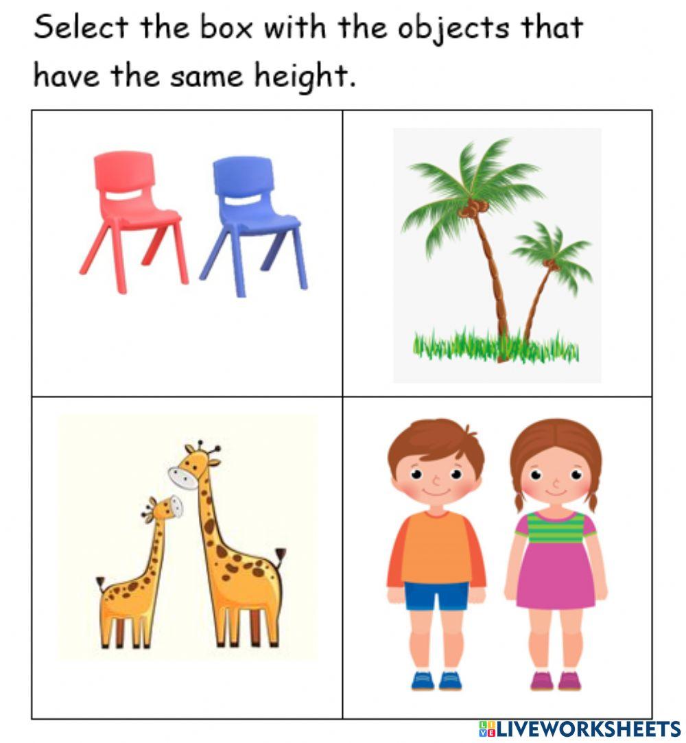 same-height-worksheet-live-worksheets