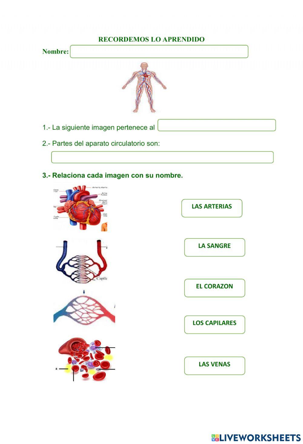 Recordemos lo aprendido