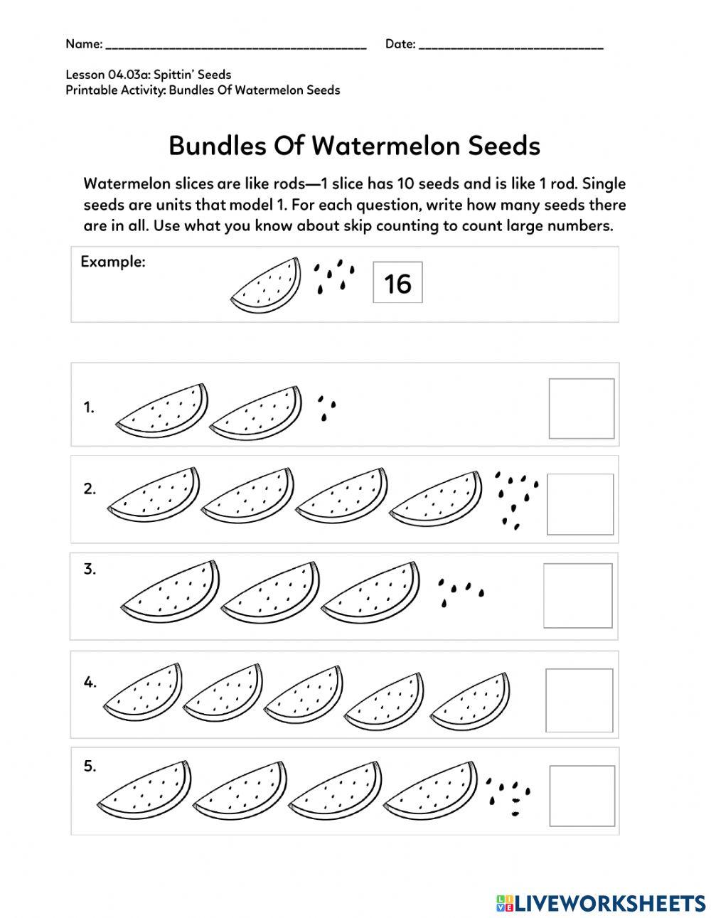 Bundles of Watermelon Seeds