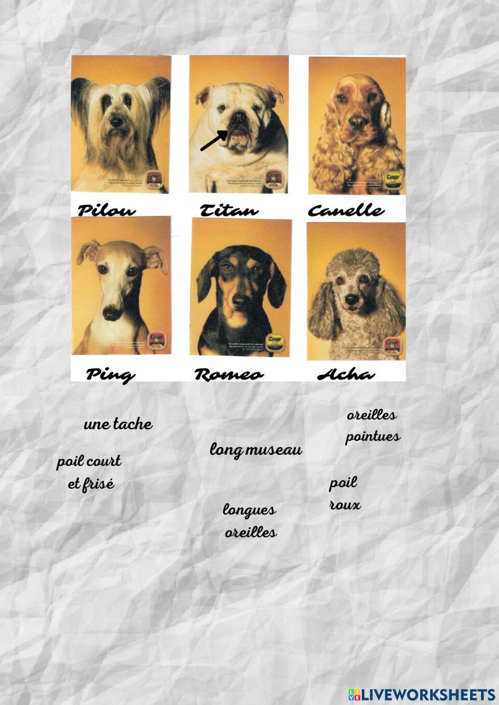 La descripción física