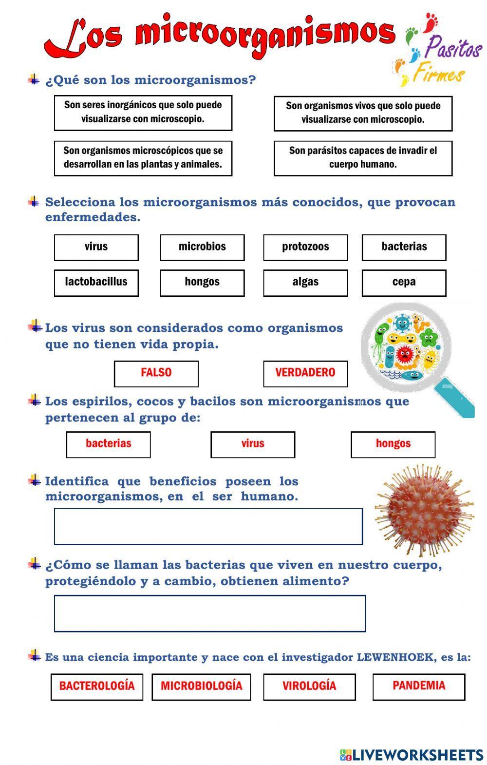 Los microorganismos