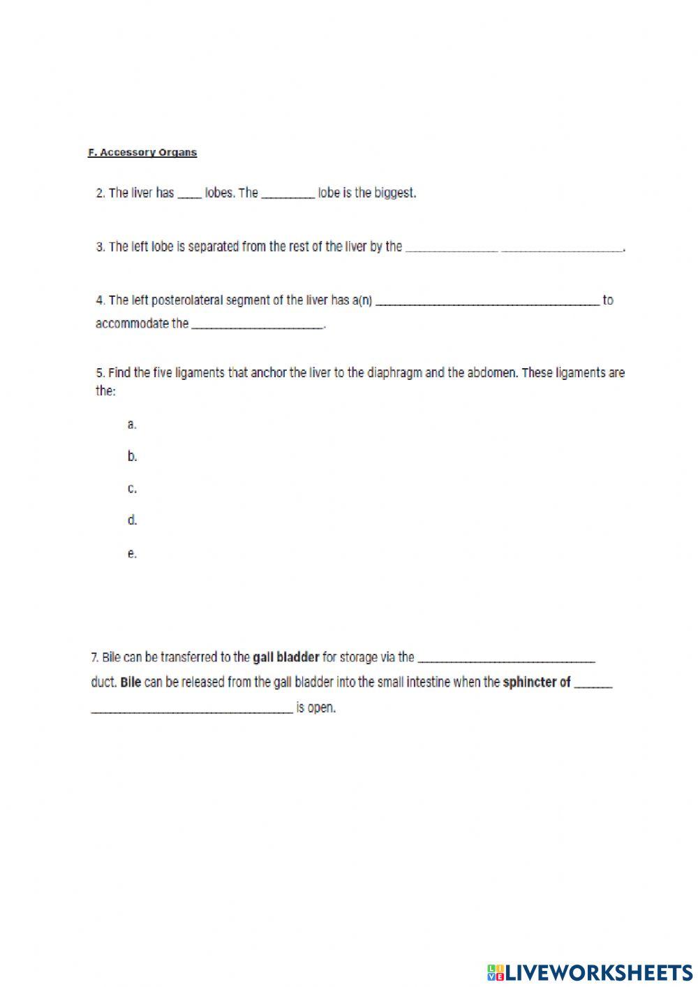 Describe the following