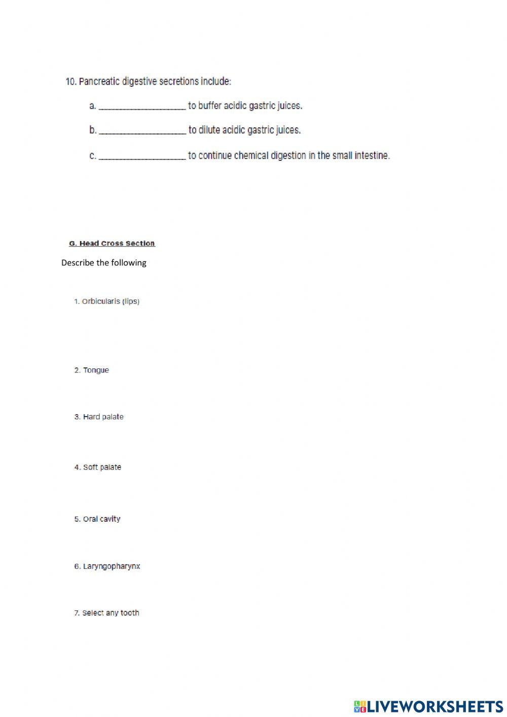 Describe the following