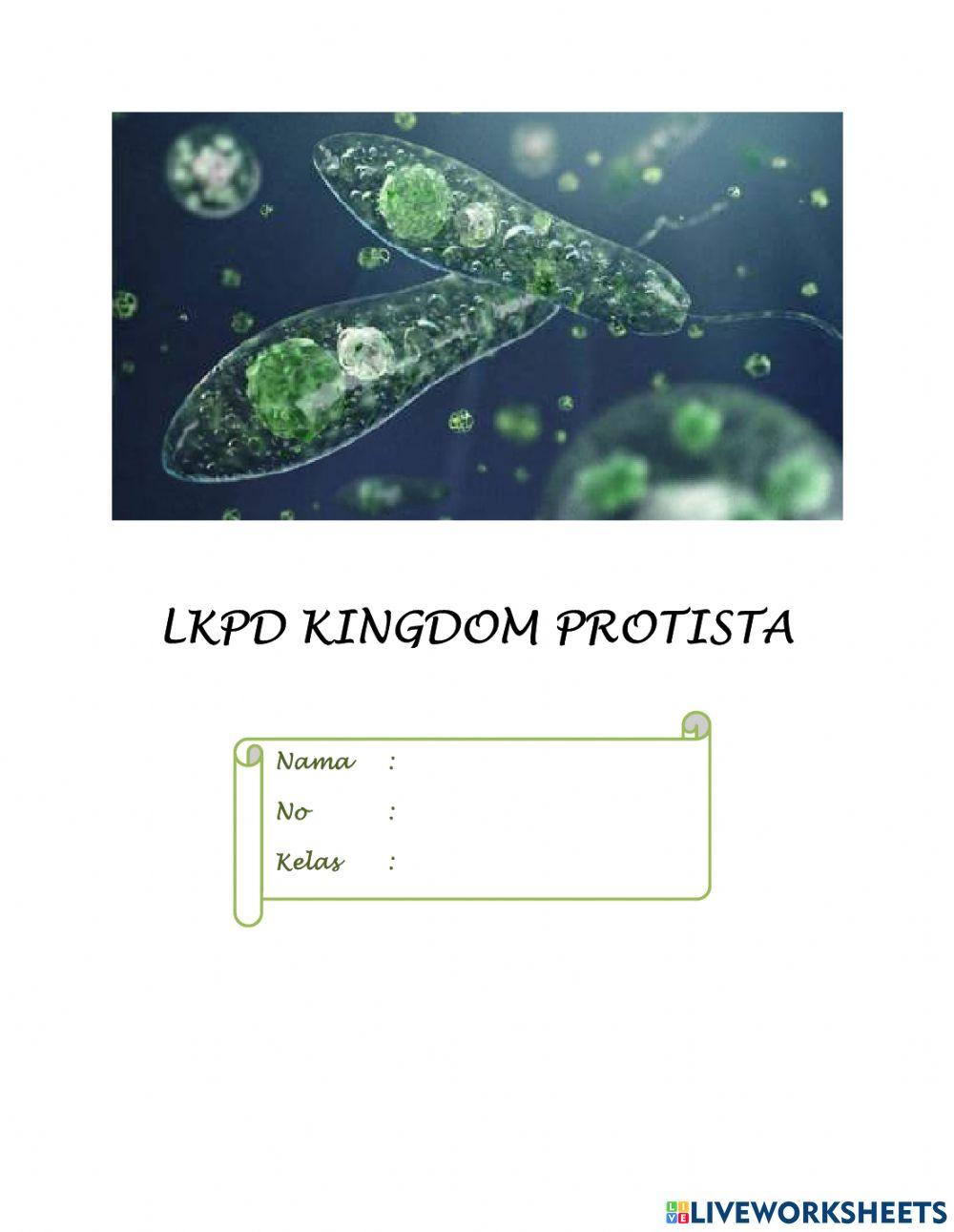 Lkpd protista