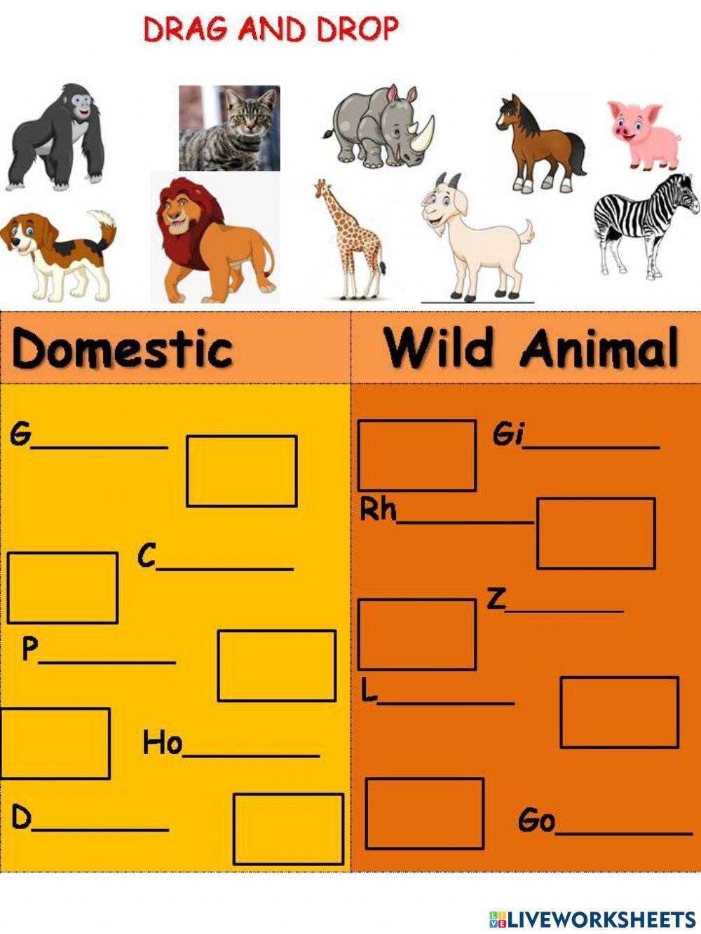 Domestic and wild animal